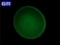 Свечение экрана электронно-оптического преобразователя